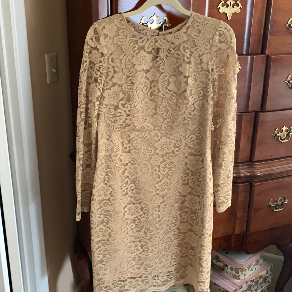nanette size 6 lace dress in nude
